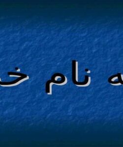انــواع-مـــاهیچـــه