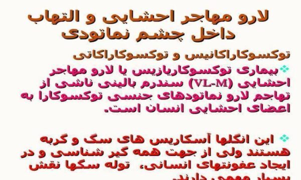 لارو-مهاجر-احشایی-و-التهاب-داخل-چشم-نماتودی
