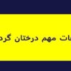 آفات-مهم-درختان-گردو