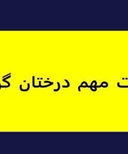 آفات-مهم-درختان-گردو