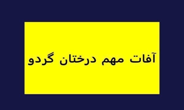 آفات-مهم-درختان-گردو