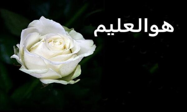 اموزش-موثر