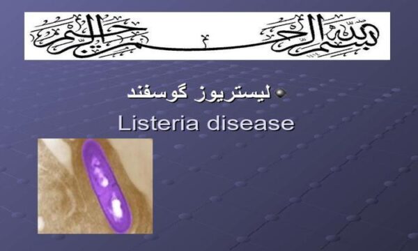 لیستریا-نجفی