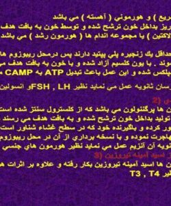 هورمون-ها