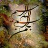 محلول-های-همو-دیالیز