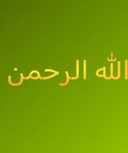 جایگزین-های-چربی