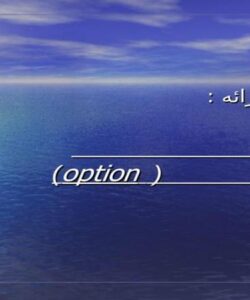 ارزيابي-و-صدور-اختيارات-option