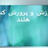 آموزش-و-پرورش-کشور-هلند