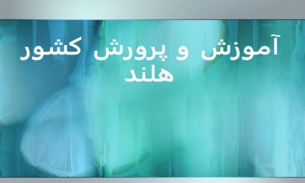 آموزش-و-پرورش-کشور-هلند