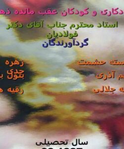 مددکاری-و-کودکان-عقب-مانده-ذهنی