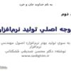 دو-وجه-اصلي-توليد-نرم-افزار