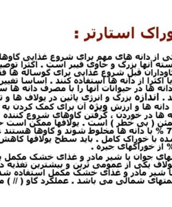 يولاف6