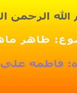 همه-چیز-در-مورد-ماهی-ها
