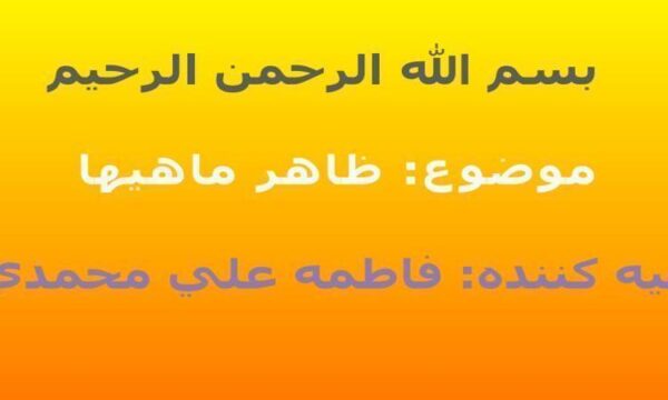 همه-چیز-در-مورد-ماهی-ها