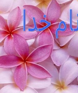 تشدید-کننده-های-نوری