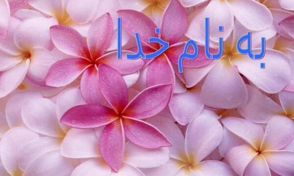 تشدید-کننده-های-نوری