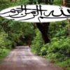 ایمنی-کودکان