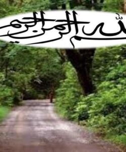 ایمنی-کودکان