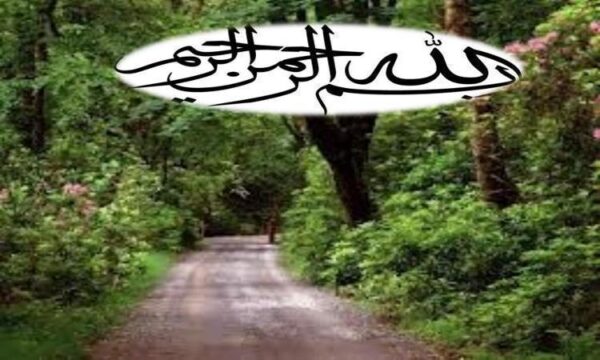 ایمنی-کودکان