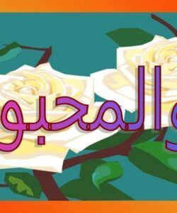 اندازه-گیری-و-سنجش-در-علوم-تربیتی