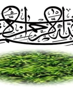 درس-8-حقوق-اجتماعی-زنان