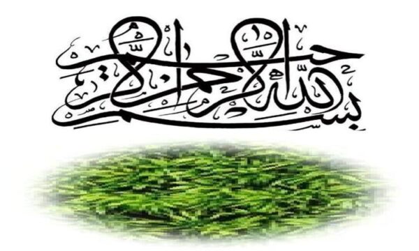 درس-8-حقوق-اجتماعی-زنان