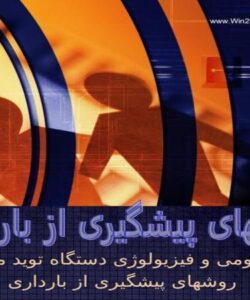 تاتتا