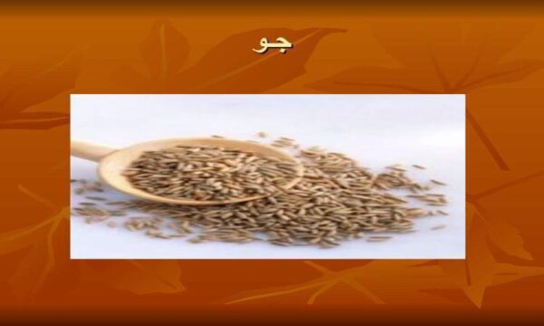 جـو