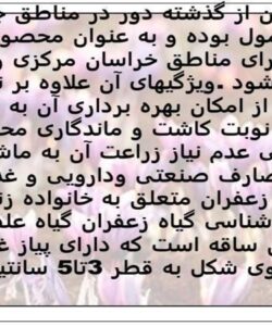 زعفران