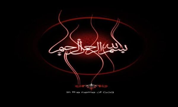 تحلیل-ارتعاشی-تایر-اتومبیل-به-علت-ضربه-دست-انداز