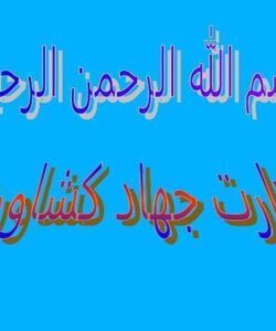 گزارش-افزايش-توليد-محصولات-زراعي