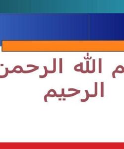 چشم-انداز-توسعه-فعالیتهای-مپنا-حوزههای-فعالیت-و-شیوههای-تامین-مالی