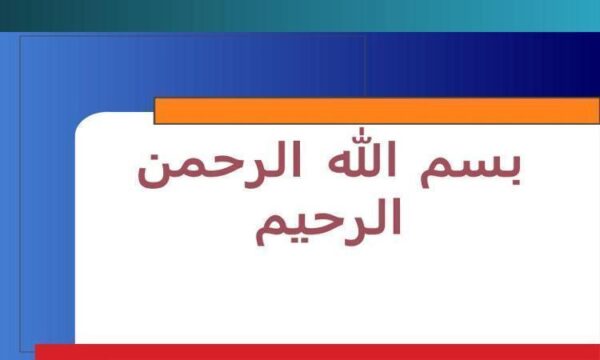چشم-انداز-توسعه-فعالیتهای-مپنا-حوزههای-فعالیت-و-شیوههای-تامین-مالی