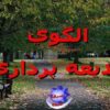 الگوي-بديعه-پردازي