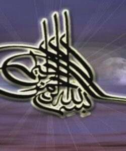 حذف-برخی-فلزات-سنگین-از-پساب-های-صنعتی-توسط-جاذب-های-طبیعی