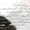 انواع-بسته-بندی-گوشت-و-مواد-مصرفی-آن