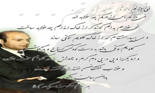انواع-بسته-بندی-گوشت-و-مواد-مصرفی-آن