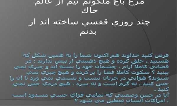 دو-بعدي-بودن-انسان