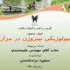 تثبيت-بيولوژيكي-نيتروژن-در-مزارع-برنج