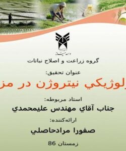 تثبيت-بيولوژيكي-نيتروژن-در-مزارع-برنج