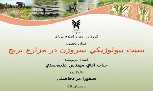 تثبيت-بيولوژيكي-نيتروژن-در-مزارع-برنج