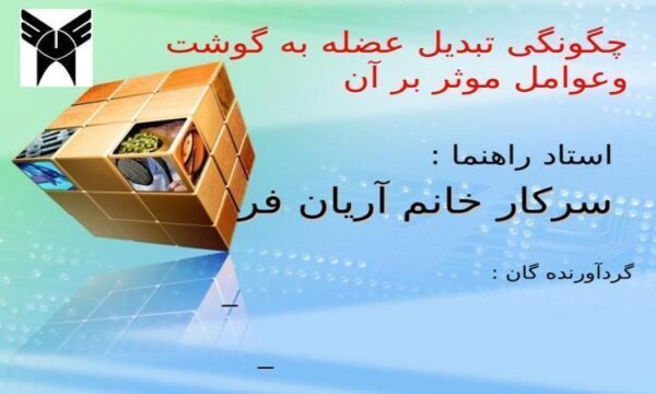 چگونگی-تبدیل-عضله-به-گوشت-و-عوامل-موثر-بر-آن