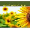 روش-تربیتی-تمثیل