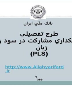 طرح-تفصيلي-بانكداري-مشاركت-در-سود-و-زيان-PLS
