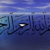 طرح-توجيهي-پرورش-قارچ-خوراکی