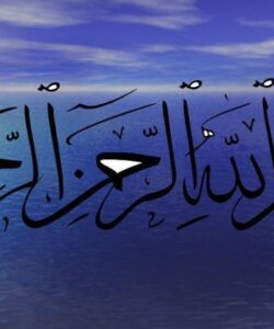 طرح-توجيهي-پرورش-قارچ-خوراکی