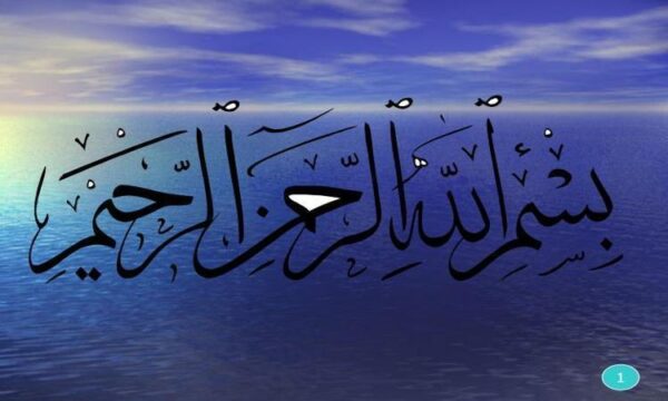 طرح-توجيهي-پرورش-قارچ-خوراکی