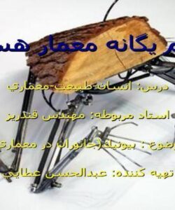 بيونيك-جانوران-در-معماري