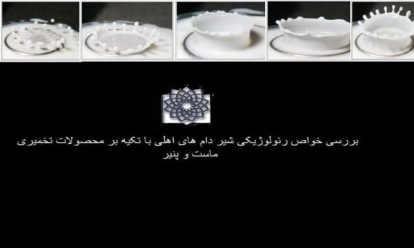 بررسی-خواص-رئولوژیکی-شیر-دام-های-اهلی-با-تکیه-بر-محصولات-تخمیری-ماست-و-پنیر-