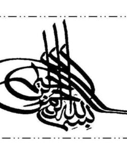 بررسی-رفتار-سقف-های-سبک